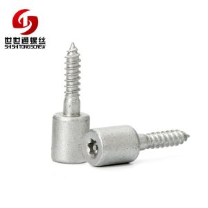 Torx Self-Tapping Security Screws – Customized By SHI SHI TONG