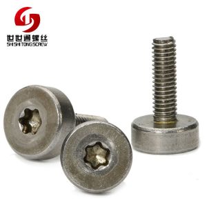 Stainless Steel Machine Thread Six-lobe Screw