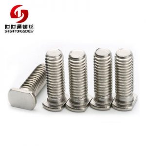 stainless steel t bolts