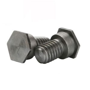 Hex Head Screw