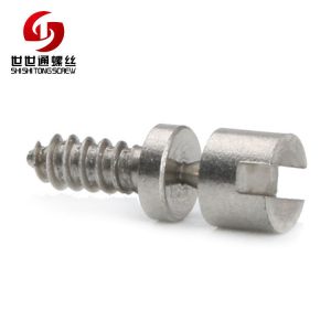 stainless steel non standard screws