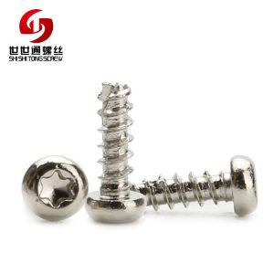 Torx Recesses Pan Head Screw Self Tapping Thread