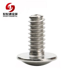 truss head stainless steel screw