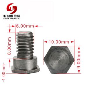 Stainless Steel Step Hex Head Screw