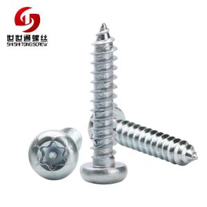 security torx screw