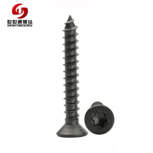 Titanium Flat Countersunk Head Torx Self Tapping Screws