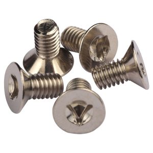 flat head anti theft screw