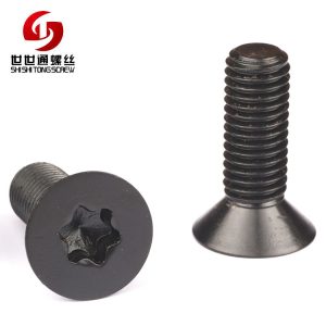 T25 Screw, Iron Black Zinc Plated Countersunk Head Torx Screw