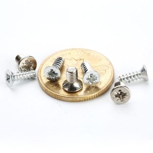 Micro Fasteners Screws