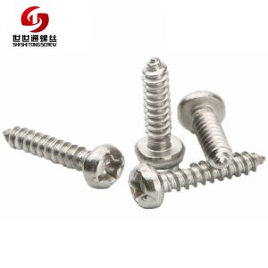 Miniature Self Tapping Screws, Stainless Screws