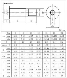 socket hexagon cheese head screws with shoulder