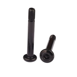 computer security screws, Security Socket Head Cap Screw