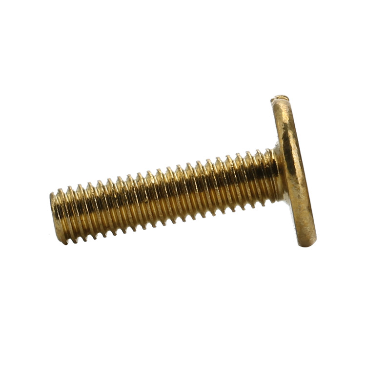 Brass slot head screws