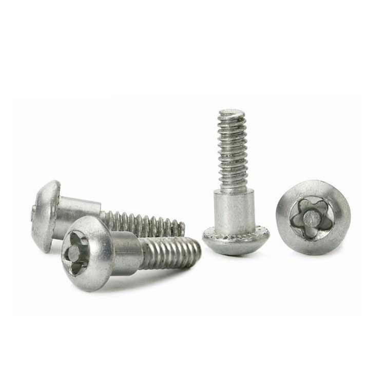 Why can't my tamper proof screws fastenal prevent theft?