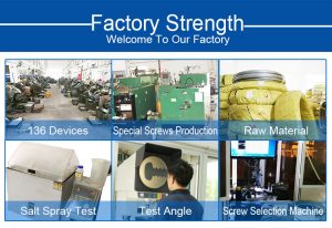  Dongguan Screw Factory