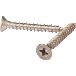 Stainless Steel Self Tapping Screws, Self Tapping Screw Manufacturer