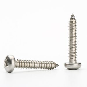 Stainless Steel Screws, SS Screw Manufacturers