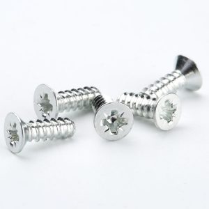 Pozidrive Screw, Pozidriv Screw, Screw Factory In China