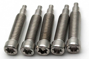 stainless steel special screws