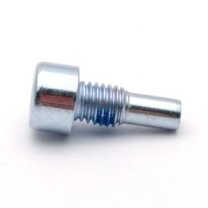 specialty bolt and screw