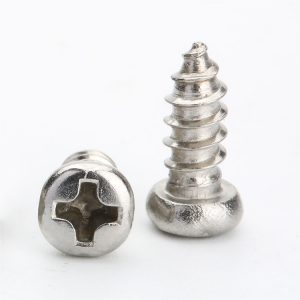 stainless steel self tapping screws fastener, 21 years screw supplier