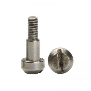 Slotted Fillister Head Screw Supplier | Shi Shi Tong