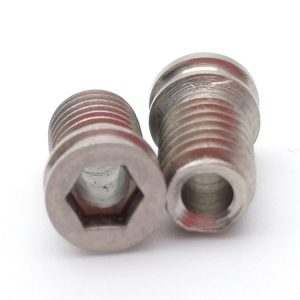 Special Socket Head Cap Screws