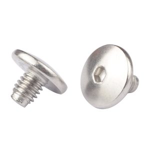 stainless steel allen screw