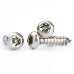 security screw