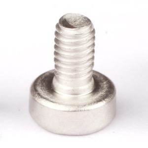 Torx Cap Head Screws | Shi Shi Tong