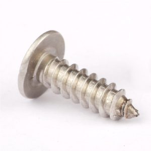 Slotted Truss Head Screw Supplier | Shi Shi Tong