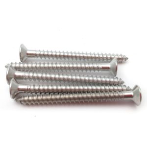 Stainless Flat Head Screws Manufacturers | Shi Shi Tong