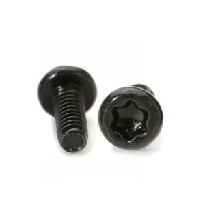 Pan Torx Screw Supplier | Shi Shi Tong