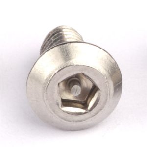 tamper resistant screw