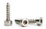 Socket Screws: Your Ultimate Guide to Types, Uses, and Customization