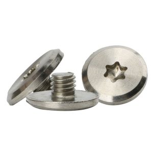 stainless torx screws