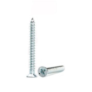 Csk Self Tapping Screw Supplier | Shi Shi Tong