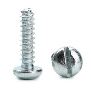 Slotted Pan Head Screw | Shi Shi Tong