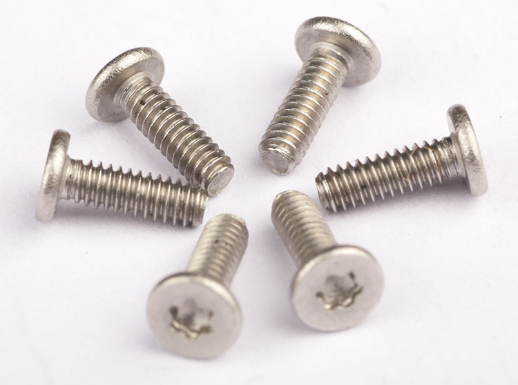 stainless steel torx screws