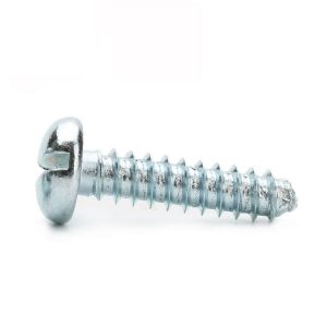 Slotted Pan Head Screw | Shi Shi Tong