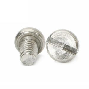 Slotted Cheese Head Screw Supplier | Shi Shi Tong