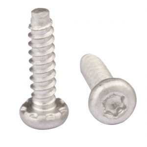 Pan Head Torx Screws | Shi Shi Tong