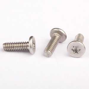 Stainless Steel Torx Screws | Shi Shi Tong