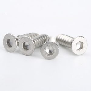 Hex Socket Countersunk Screw