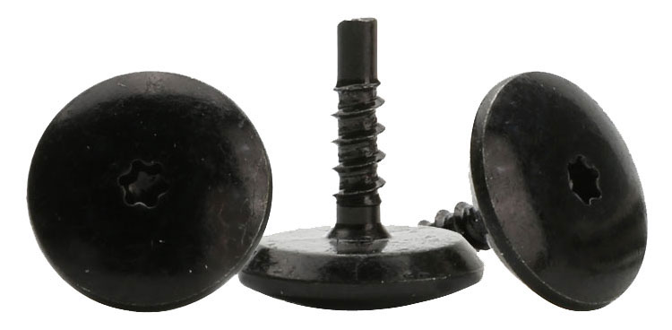 black torx screws