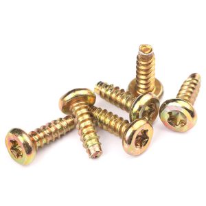 Torx Thread Forming Screws Supplier | Shi Shi Tong