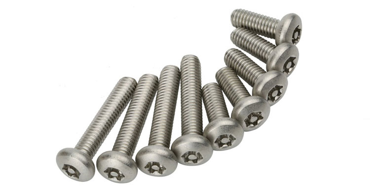 stainless steel tamper proof screws