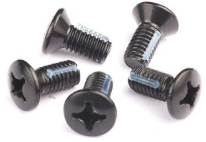 phillips oval head screws