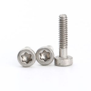 Torx Socket Cap Screw