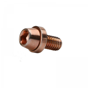 Tapered Socket Head Cap Screw